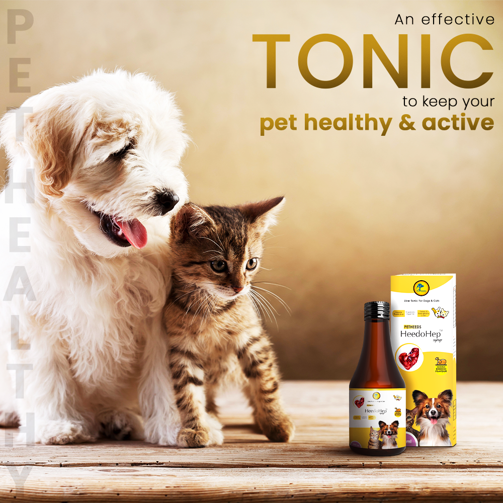 HeedoHep Liver Tonic for Dog and Cat | 200 ML - Image 2
