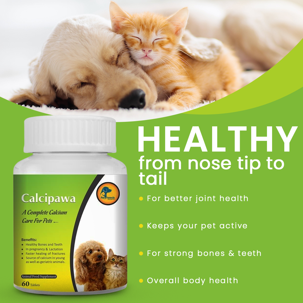 Calcipawa Calcium Tablet for Dog and Cats | Pack of 60 tablet - Image 4
