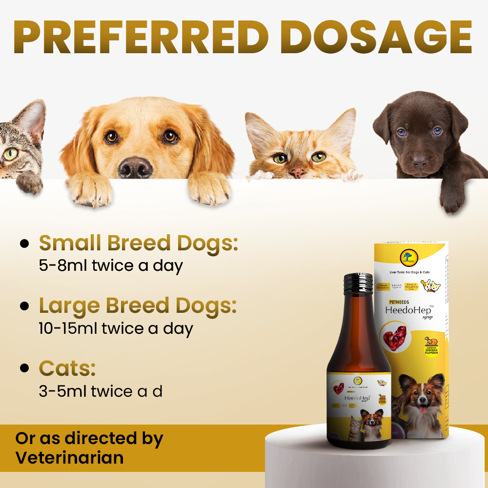 HeedoHep Liver Tonic for Dog and Cat | 200 ML - Image 5