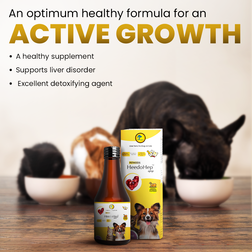 HeedoHep Liver Tonic for Dog and Cat | 200 ML - Image 6